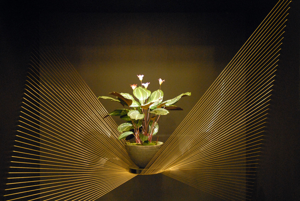 Floralin Gent 2010, Gentse Floralin 2010,200 Floralin, Floralin