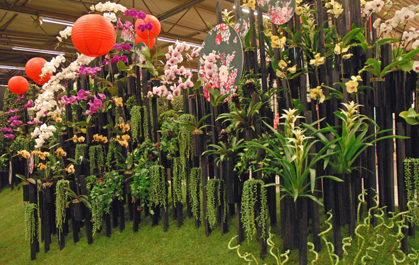 Floralin Gent 2010, Gentse Floralin 2010,200 Floralin, Floralin