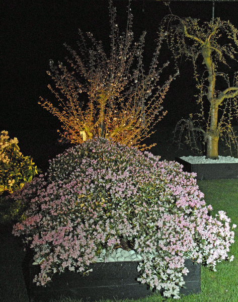 Floralin Gent 2010, Gentse Floralin 2010,200 Floralin, Floralin