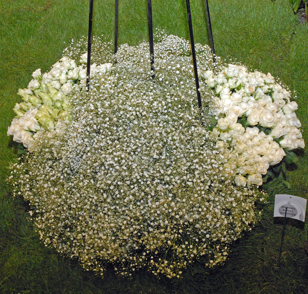 Floralin Gent 2010, Gentse Floralin 2010,200 Floralin, Floralin