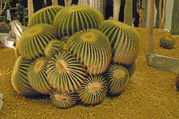 Floralin Gent 2010, Gentse Floralin 2010,200 Floralin, Floralin