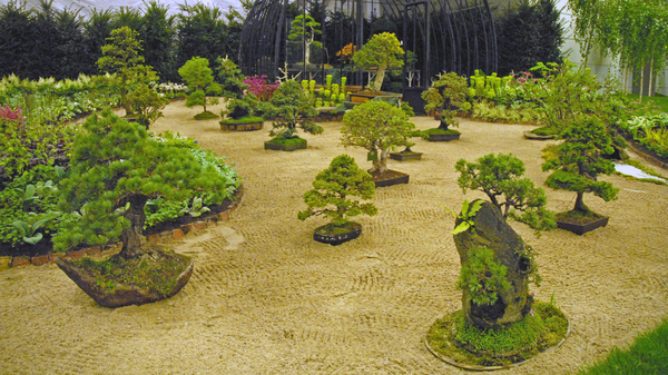 Floralin Gent 2010, Gentse Floralin 2010,200 Floralin, Floralin