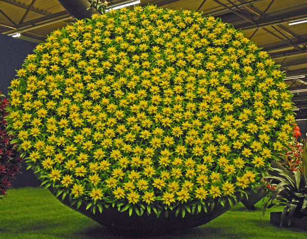 Floralin Gent 2010, Gentse Floralin 2010,200 Floralin, Floralin