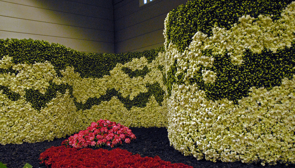 Floralin Gent 2010, Gentse Floralin 2010,200 Floralin, Floralin