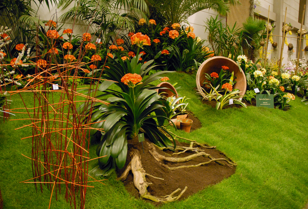 Floralin Gent 2010, Gentse Floralin 2010,200 Floralin, Floralin