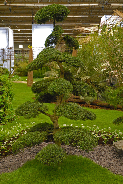 Floralin Gent 2010, Gentse Floralin 2010,200 Floralin, Floralin