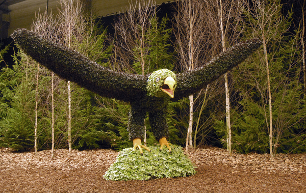 Floralin Gent 2010, Gentse Floralin 2010,200 Floralin, Floralin