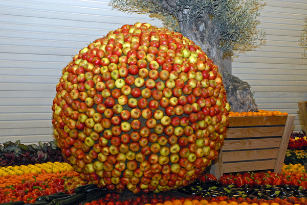 Floralin Gent 2010, Gentse Floralin 2010,200 Floralin, Floralin