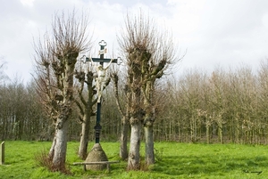 Hemelhofweg, Domein Bergelen, Meiboomkruis (3)