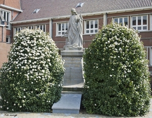 Kerkplein, Monument van de gesneuvelden (1)