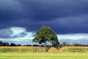 Onweer