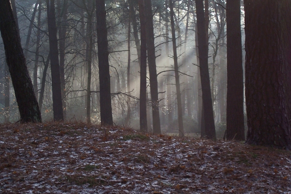 Landschap
