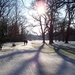 Winter in park van Brasschaat