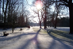 Winter in park van Brasschaat