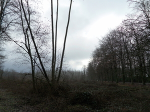 Schilde langs antitank kanaal