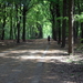 Peerdsbos Brasschaat