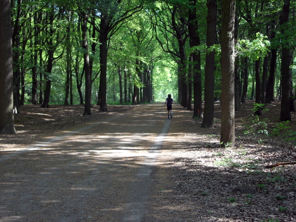 brasschaat