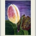 NUMMER   7.    TULP  MET BLAD  40 X 50 CM   ACRYL