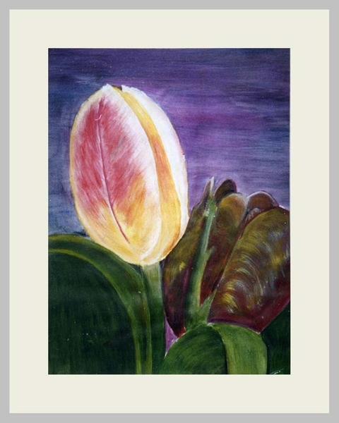 NUMMER   7.    TULP  MET BLAD  40 X 50 CM   ACRYL