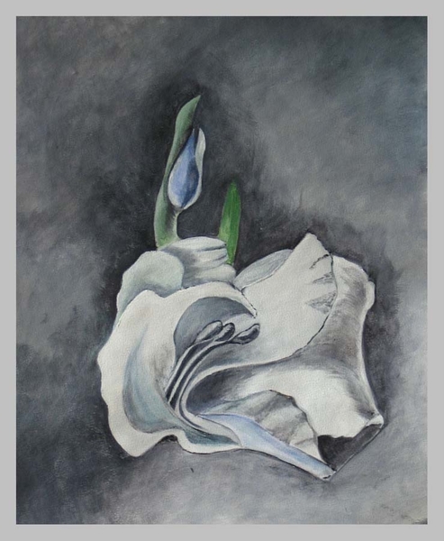 NUMMER 10   EROTICA  GRIJS   40 X 50 CM     ACRYL