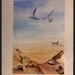 NUMMER   15    SCHELPENZAND    50 X 70 CM   AQUAREL