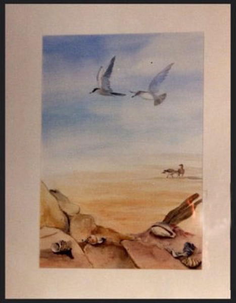 NUMMER   15    SCHELPENZAND    50 X 70 CM   AQUAREL