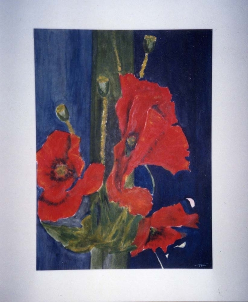 NUMMER 18   KLAPROZEN   50 X 60 CM     ACRYL