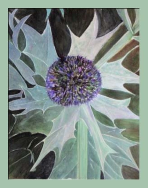 NUMMER 22. DISTEL  50 X 70 CM  ACRYL
