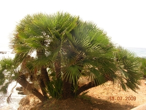 DSCN0383