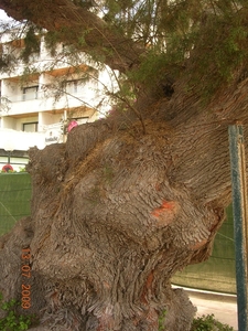 DSCN0397