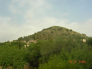 DSCN0584