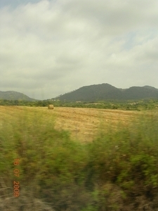 DSCN0587