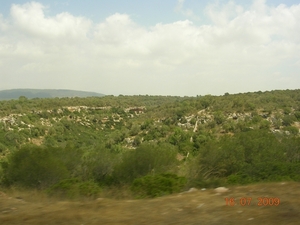 DSCN0592