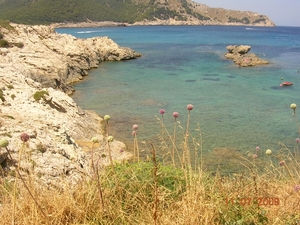DSCN0285