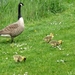 met mama op het gras...