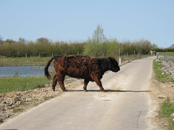 ja!!! dit is in nederland.. en wel in zwolle