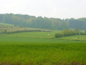 Eric Crommelynck -wandeling Voeren mei 2010 011