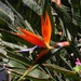 DSCN8557