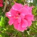 DSCN8580