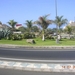 DSCN8646
