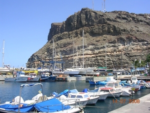 DSCN8675