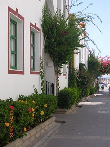 DSCN8664