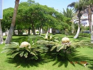 DSCN8705
