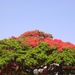 DSCN8744