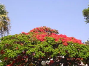 DSCN8744