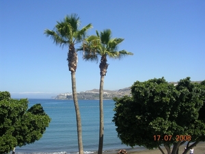 DSCN8933