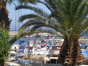 DSCN8936