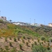 DSCN8979