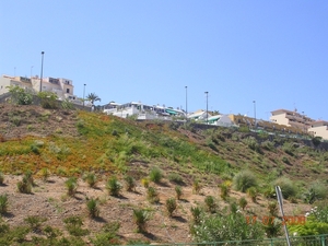 DSCN8979