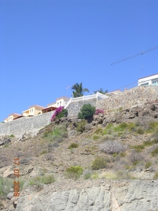 DSCN8980